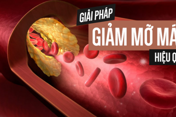 Món ăn giúp hạ mỡ máu